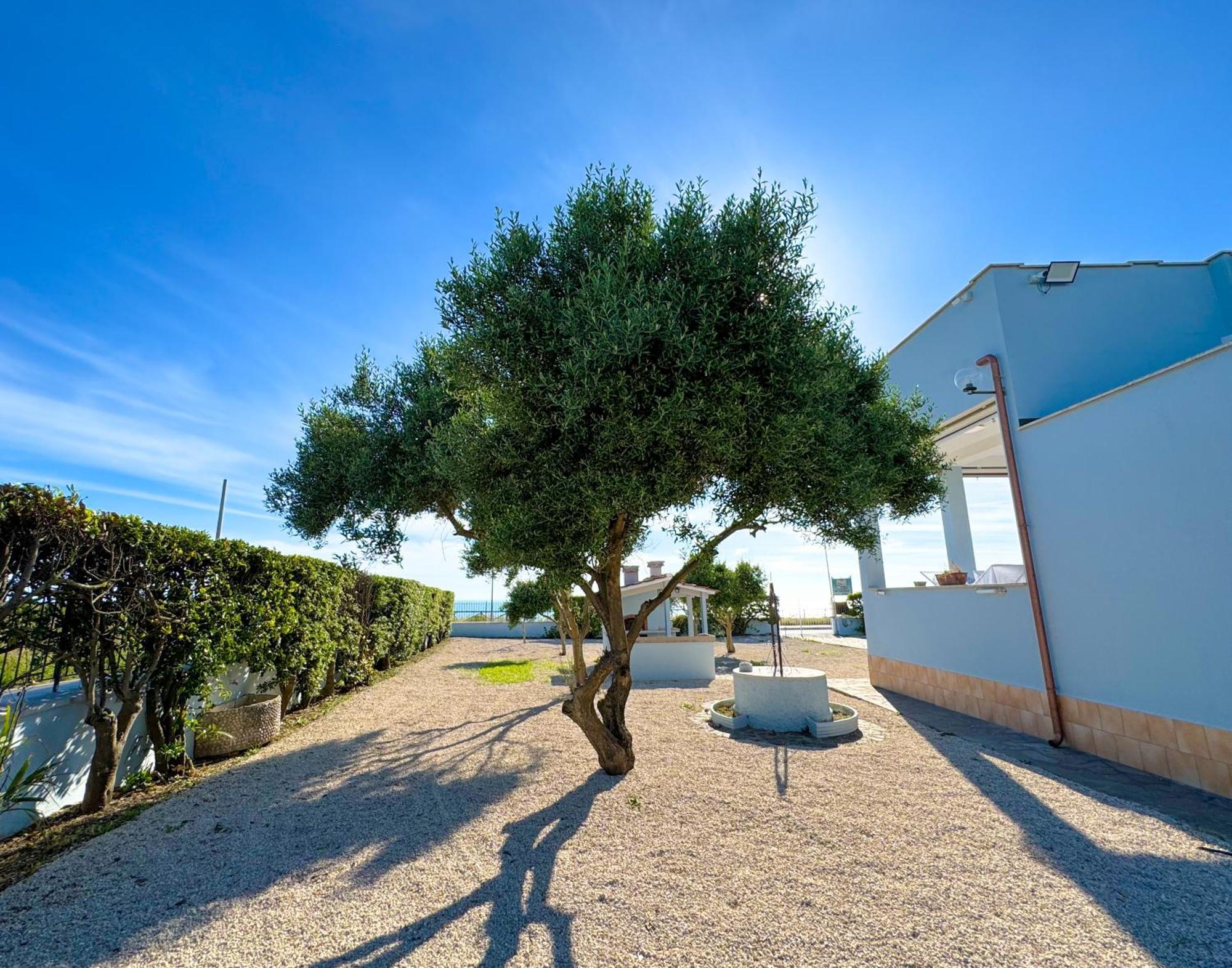 Edo House Anzio - Beachfront - Fronte Mare - Affittacamere Buitenkant foto